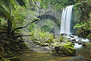 Rainforest waterfalls, Hopetoun Falls, Victoria, Australia