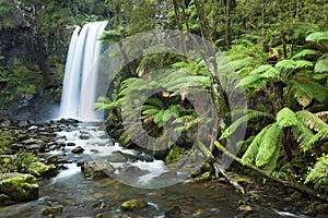 Rainforest waterfalls, Hopetoun Falls, Victoria, Australia