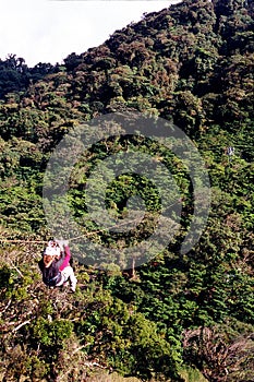 Rainforest Ziplining