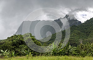 Rainforests on the mountains of the island Moorea