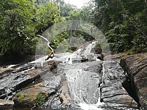 rainforests in Sri Lanka sinharaja