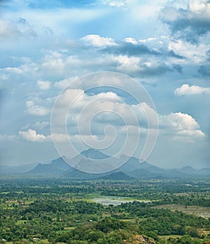 Rainforests, swamps and mountains. Sigiriya, Polonnaruwa, Sri La photo