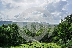 Rainforests and vegetation on the peninsula near the village of Gokarna