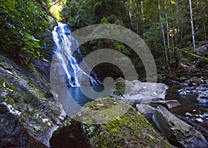 Rainforrest Waterfall