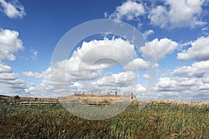 Rainham Marshes RSPB Reserve