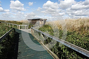 Rainham Marshes RSPB Reserve