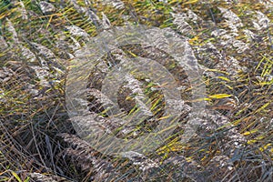 Rainham Marshes on a sunny day