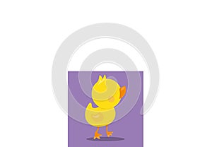 raini day fun duck 10