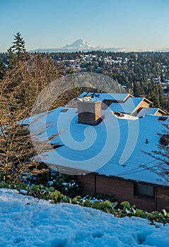 Rainier From Burien 4