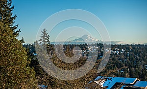 Rainier From Burien 8