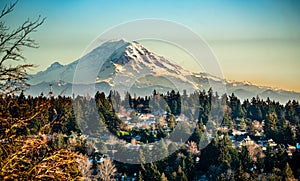 Rainier From Burien 6