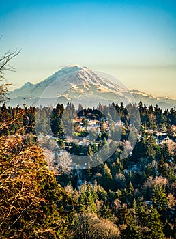 Rainier From Burien 8