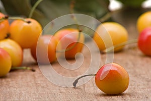 Rainier cherries