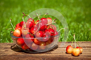 Rainier Cherries in a bowl on green grass