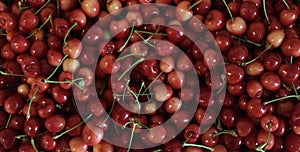 Rainier cherries, macro view