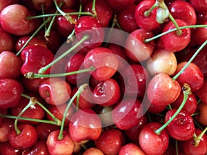 Rainier cherries, macro view