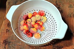 Rainier Cherries in White Colander.