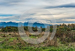 Rainier Cloud Cover 2