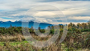 Rainier Cloud Cover 3