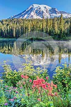 Rainier Wildflowers at Reflection Lake