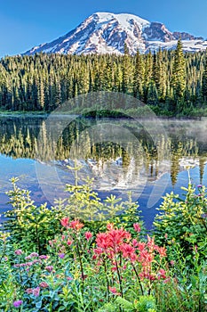 Rainier Wildflowers at Reflection Lake photo