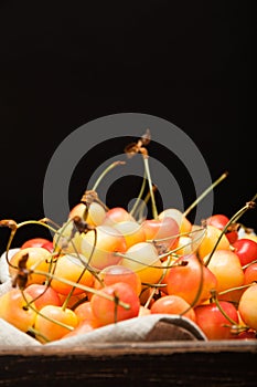 Rainier yellow cherry, isolated antioxidant food. Black background