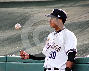 Rainiero Coa, Charleston RiverDogs