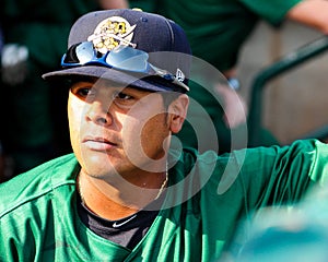 Rainiero Coa, Charleston RiverDogs