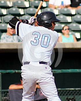 Rainiero Coa, Charleston RiverDogs