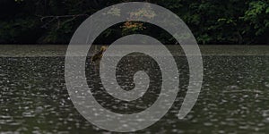 Raining above the lake