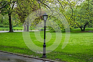 Raining in Central Park, New York city. Spring fresh tree foliage and green grass