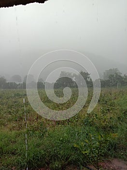 Raining grass trees hill soil