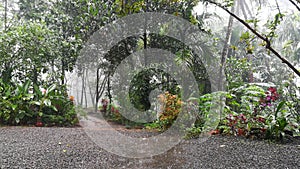 Raining outside, Kannur