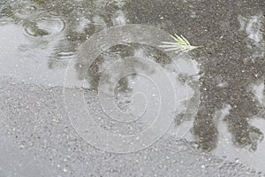 Raining with raindrop on road and reflection