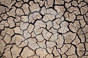 Rainless in countryside