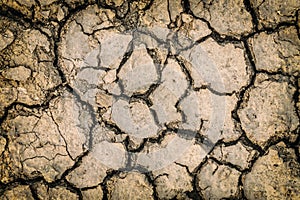 Rainless in countryside