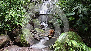 Rainmaker Waterfalls With Audio of Rushing Water Sounds Costa Rica