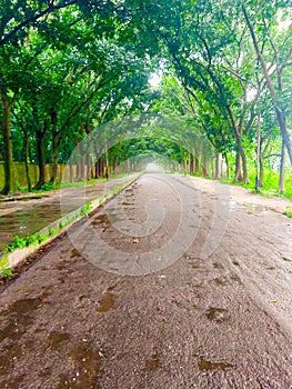 After rainning the beautiful road view.