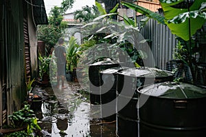 Rainwater collecting in barrels during a heavy downpour in a tropical backyard setting