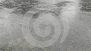 Rainwater drops falling on gray asphalt.