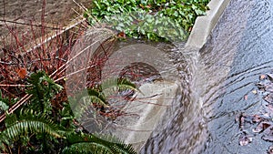 Rainwater flooding down a residential street and flood control ditch culvert planted with hardy plants photo