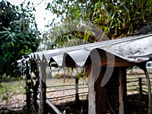 Rainwater flowing from the roof