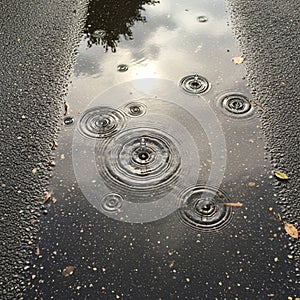 Create concentric ripples across the water s surface adding texture