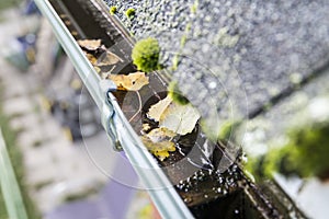 Rainwater gutter cleaning concept  lot of autumn leaves in metal gutter..