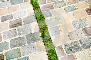 Rainwater hole decorated with grass on the path