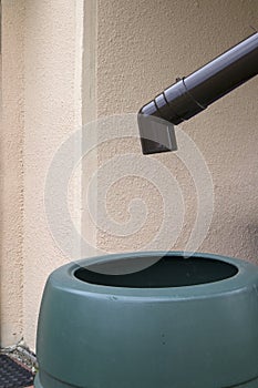 rainwater tank or water butt, using as rain collector to water plants in garden