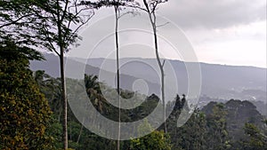 The rainy atmosphere in the hills appears to be lush trees.