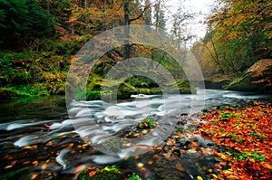 Rainy autumn river at Edmund Gorge of Bohemian Switzerland National Park, Czech republic.