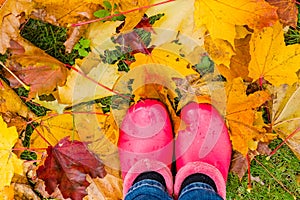 Rainy autumn. Rubber pink boots against of wet yellow leaves.Conceptual image of legs in boots on the autumn leaves