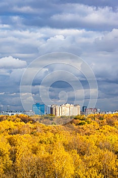 Rainy clouds over yellow forest and modern houses